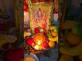 Shivaratri celebration at home lordshiva har har mahadev 