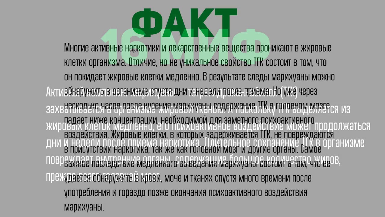 Мифы о марихуане Мифы о марихуане время наркотик денис майданов текст