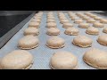 Come fare i Macarons - Corso di Pasticceria - Ricette Dolci e Cucina