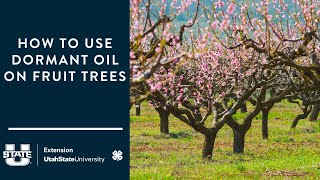 How to Use Dormant Oil on Fruit Trees by Utah State University Extension 1,539 views 1 month ago 8 minutes, 36 seconds