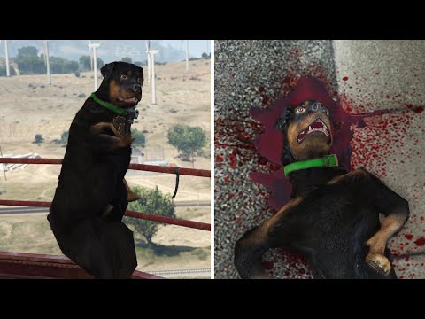 GTA 5 Franklin Kills Chop in the final mission