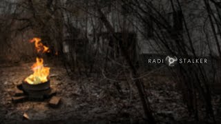 Radio STALKER | Guitar and Campfire (Гитара и костёр)