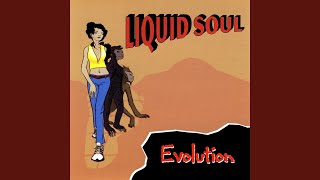 Video thumbnail of "Liquid Soul - Action Jackson"