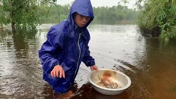 Lũ lụt nước dâng cao thả lưới trên đường ai ngờ ...cái kết |ddcd #50