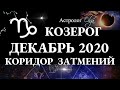 КОЗЕРОГ - ДЕКАБРЬ 2020 - КОРИДОР ЗАТМЕНИЙ. Астролог Olga