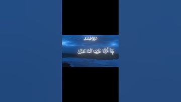 تلاوة من سورة فصلت الشيخ ياسر الدوسري ❤️🌿 سبحان الله العظيم