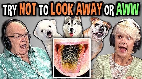 Elders React To Try Not To Look Away Or Aww Mega Challenge