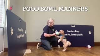 Food bowl manners level 1 by Victoria Cooper 90 views 7 months ago 56 seconds