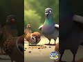 Moti the Pigeon 🕊️ | Short Moral Story for Kids | Calm Bedtime Story