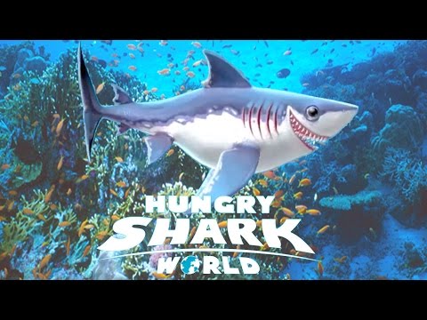 ¡¡TIBURÓN MEJORADO!! Aunque sigue siendo peque | Hungry Shark World |  TheAlvaro845 | Español