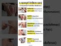 5 सबसे ज़रूरी दर्द निवारक दवाएं और उनके फायदे | Important Painkiller Medicines #medicine