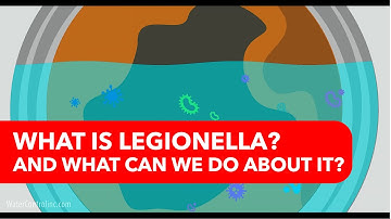 What is Legionella and What Can We Do About It?