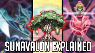 Plant Decks Are Now In Full Bloom! [ Sunavalon ] [ Yu-Gi-Oh Archetypes Explained ]