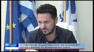 Βόλος Σε συνεργασία με το δασαρχείο η κοπή των πλατάνων 140726