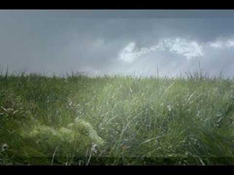 Under The Rain Video