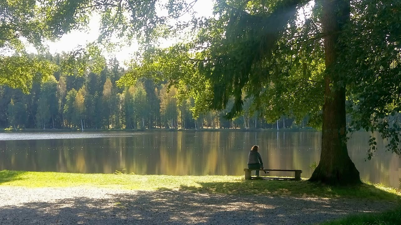 Milovský rybník (Žďárské vrchy)