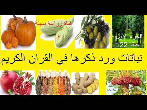 نباتات ورد ذكرها في القرآن الكريم الجزء الأول
