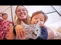 Surprising Our Kids With A Baby Kitten!