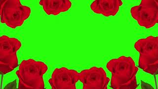 green screen video of rose