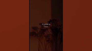 وإن ربك ليعلم ما تكن صدورهم وما يعلنون سوره  النمل قران