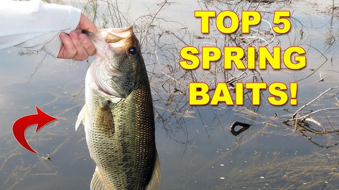 5 Spring Bass Fishing Lures That'll Dominate This Season - Wild Outdoor