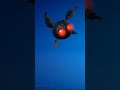 OBJETOS COSMÉTICOS BOTINES DE FORTNITE: LLEGÓ A FORTNITE CAPITULO 7 TEMPORADA 3 FUGITIVOS (RUNNERS)