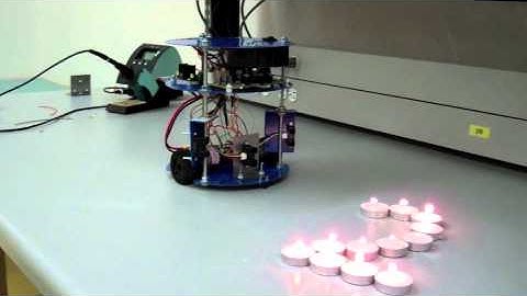 EECE 474 Winter 2011 - Robot