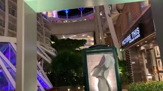 Central Park at night on Oasis of the Seas