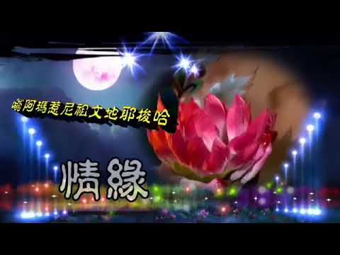 黃思婷～情緣