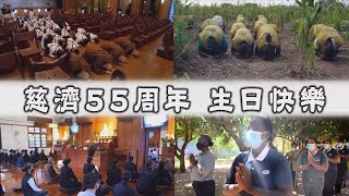 【人間菩提】20210505 - 覺悟真理續法華