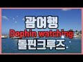 괌 액티비티 돌핀크루즈 GUAM dolphin watching