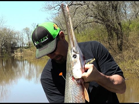 Blow gunning Giant River Gar, World Record BLOW FISHING RECORD