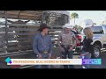 Professional Bull Riders in Tampa