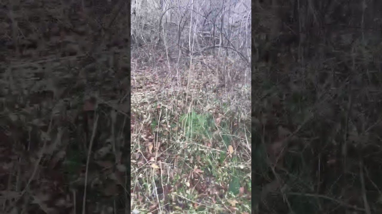 12.04 Unrestricted Acres in Mercer County West Virginia!