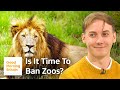 Should We Be Celebrating Or Closing Zoos? | Good Morning Britain