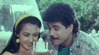 Nagarjuna Trying To Kiss Amala Prema Yudham Movie Scenes