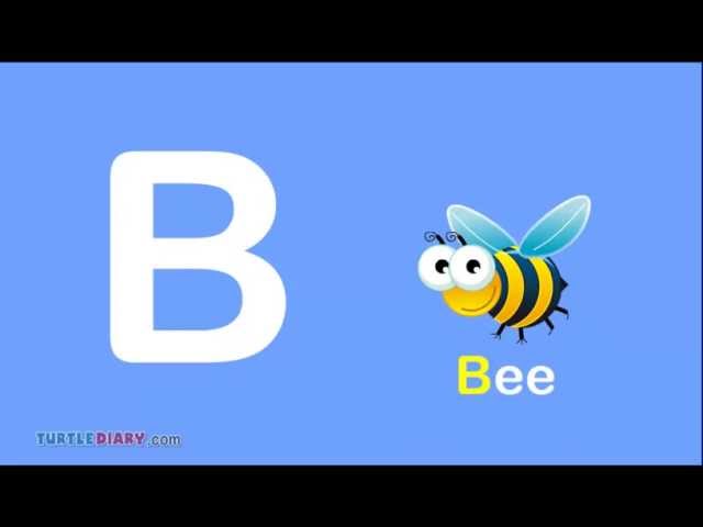 Words That Start With B For Kindergarten