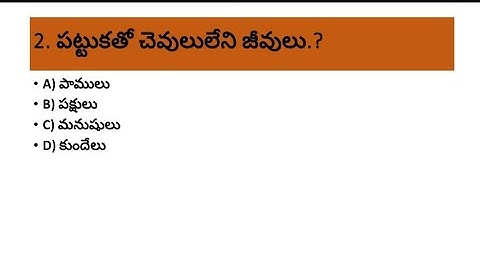 👉👉బొద్దింకా, మిడత వంటి కిటకాలలో రక్తం ఏ రంగులో ఉంటుంది.? || EVS (science ) || TSTET - 2023 || EVs