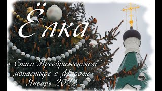 Ёлка в Спасо-Преображенском монастыре, Spaso-Preobrazhensky Monastery of Murom, Christmas Fir