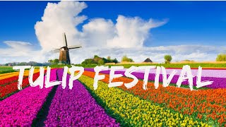 5000 subscriber special!! Tulip festival l Holland, Michigan l USA l Lake Michigan l Drone footage