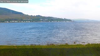 Holy Loch and wildlife  Dunoon Scotland