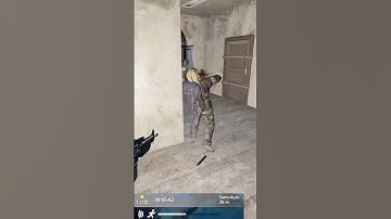 DAY BEFORE WIPE ON OFFICIAL #dayz