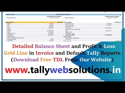 (Free) TDL Source Code of Detailed Balance Sheet & Profit & Loss with Grid Line in Tally Prime (Download Free TDL Source Code)