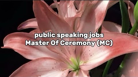 EPS ASSIGNMENT #8 pt.1 PUBLIC SPEAKING JOB [MC]