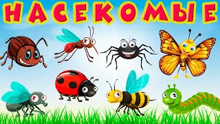 Насекомые для детей 🐝 Учим насекомых 🐞 Насекомые мультик 🐜 Насекомые звуки 🕷 Развивающие мультики screenshot 5