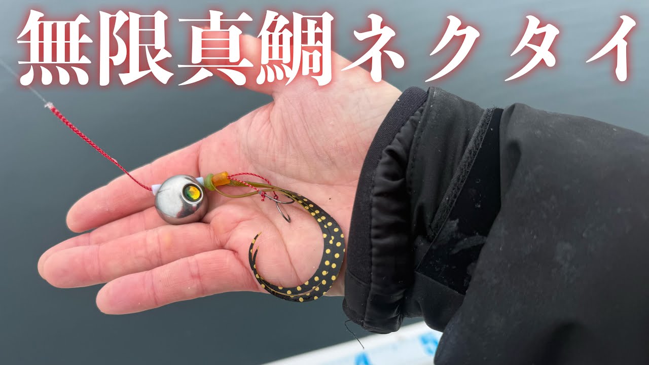 完全にパターンを掴んだ2026年エボシ340初浮きとメバルサビキ初チャレンジ！