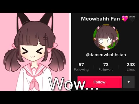 Download I Went Undercover As A Meowbahh Stan (IT WORKED)