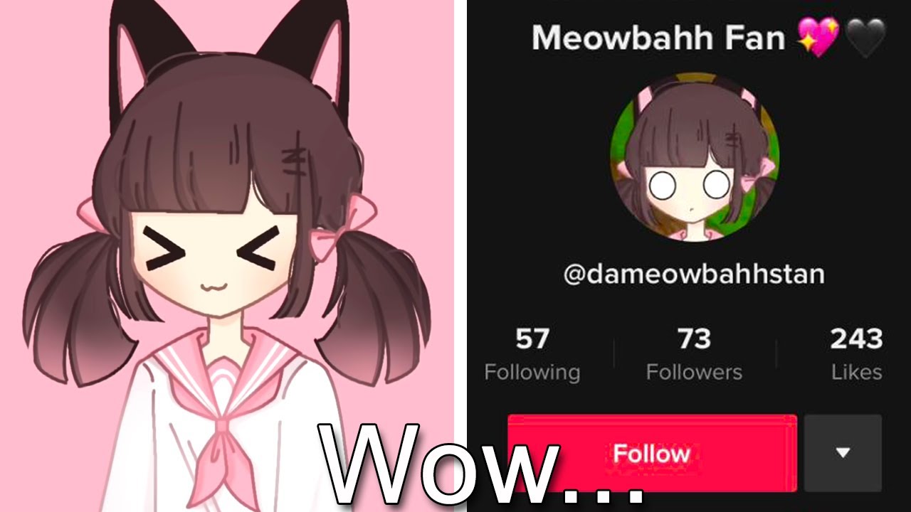 I Went Undercover As A Meowbahh Stan (IT WORKED) 