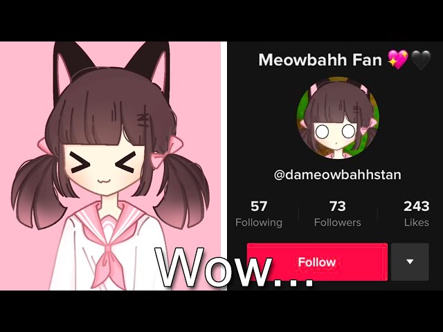 I pretended to be a MeowBahh Stan in her discord server 