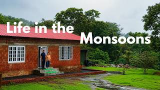 We Didn’t Expect Our Farm to LOOK LIKE THIS in the Monsoons